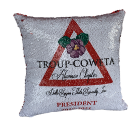 Sequins Pillow